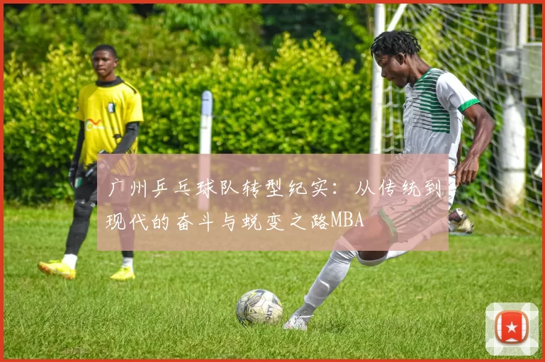 广州乒乓球队转型纪实：从传统到现代的奋斗与蜕变之路MBA