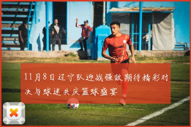 11月8日辽宁队迎战强敌期待精彩对决与球迷共庆篮球盛宴