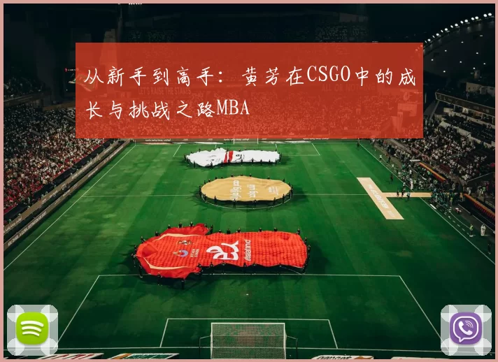 从新手到高手：黄芳在CSGO中的成长与挑战之路MBA